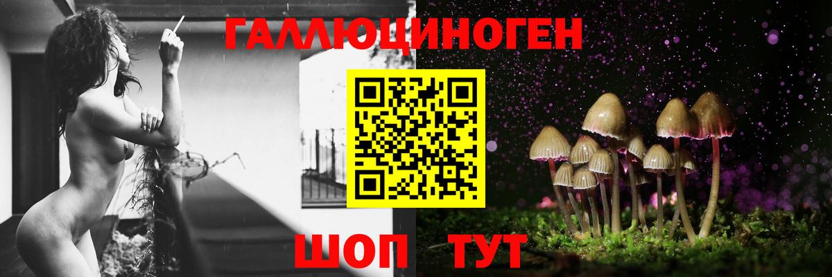 Псилоцибиновые грибы ЛСД  Вход с VPN  Карачаевск 